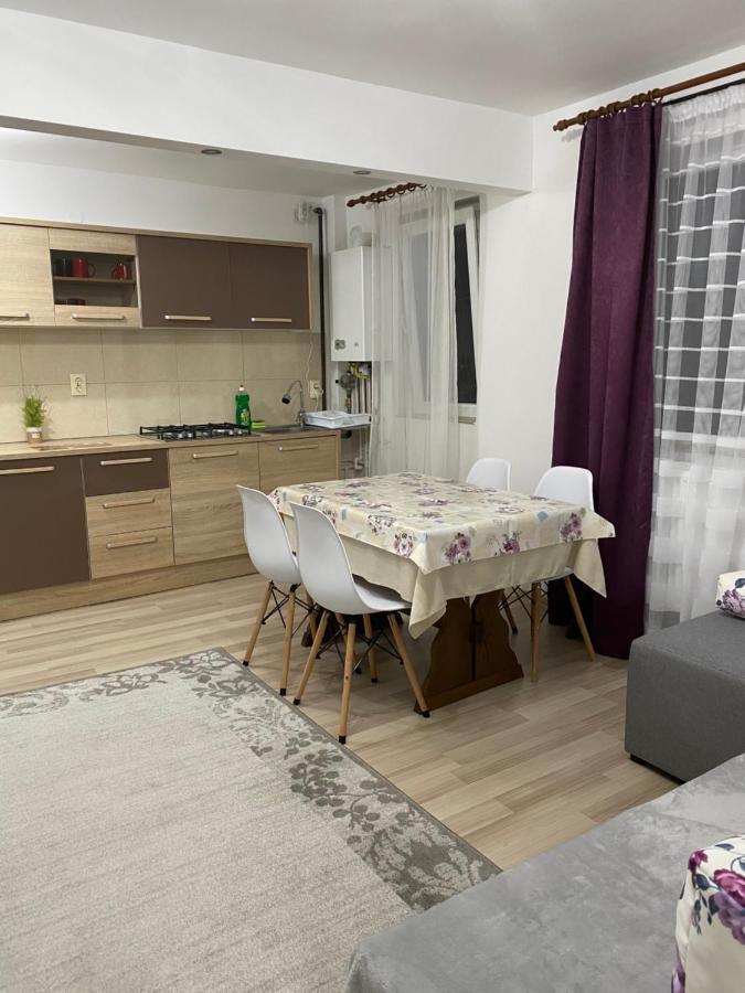 5 Residence Apartment Cavnic Exteriör bild